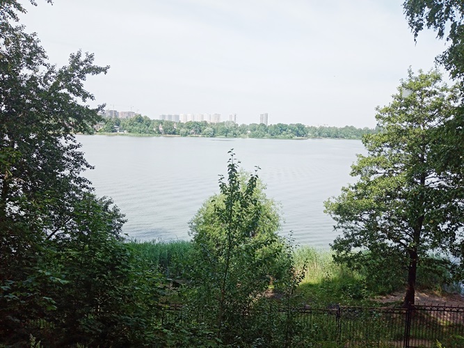 Вид на Суздальское озеро с Шуваловского кладбища